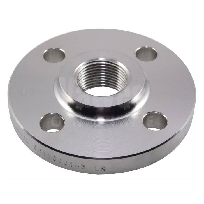 ANSI 150 316L Stainless Steel BSPT Threaded Flange