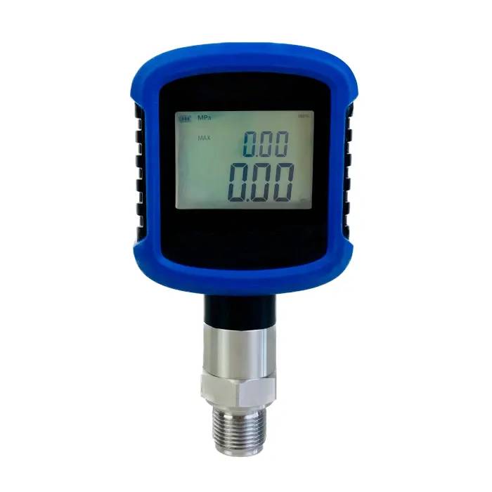 Economy Digital Pressure Gauge