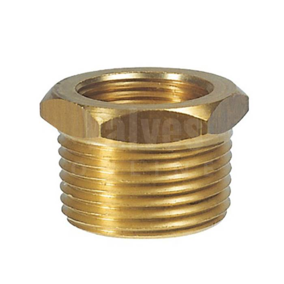 Brass Reducing Bush MxF