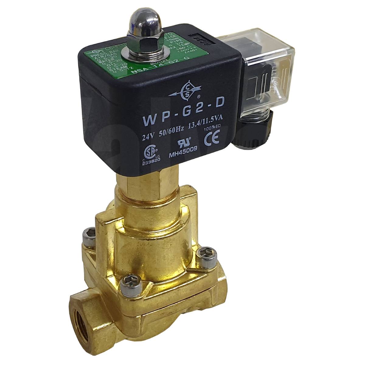 Brass Solenoid Valve 0.5-12 Bar Rated Steam Servo Assisted