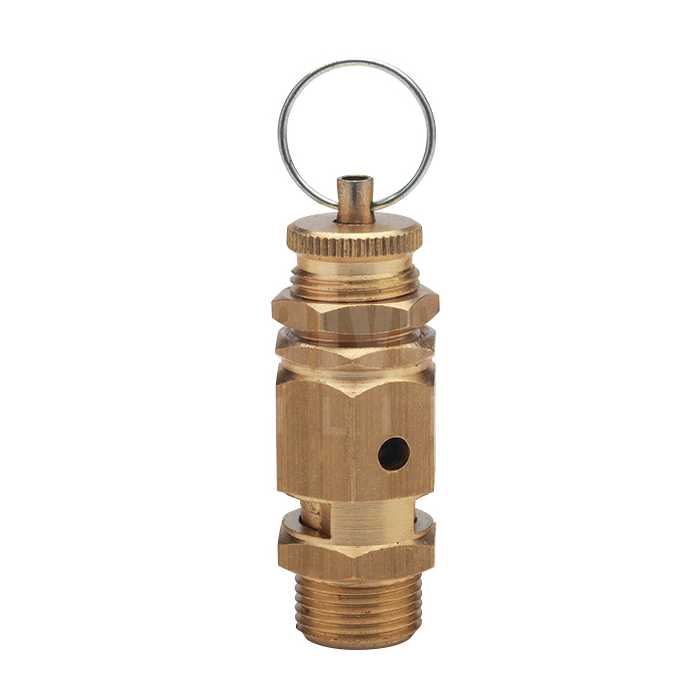 Economy Brass Spring Safety Relief Valve