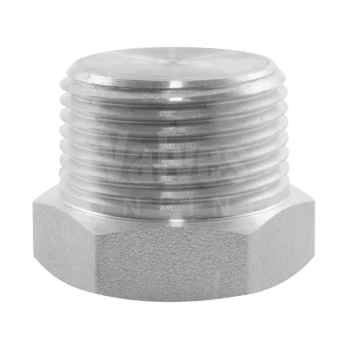BSPT Hexagon Plug 6000LB 316 Stainless Steel Fitting