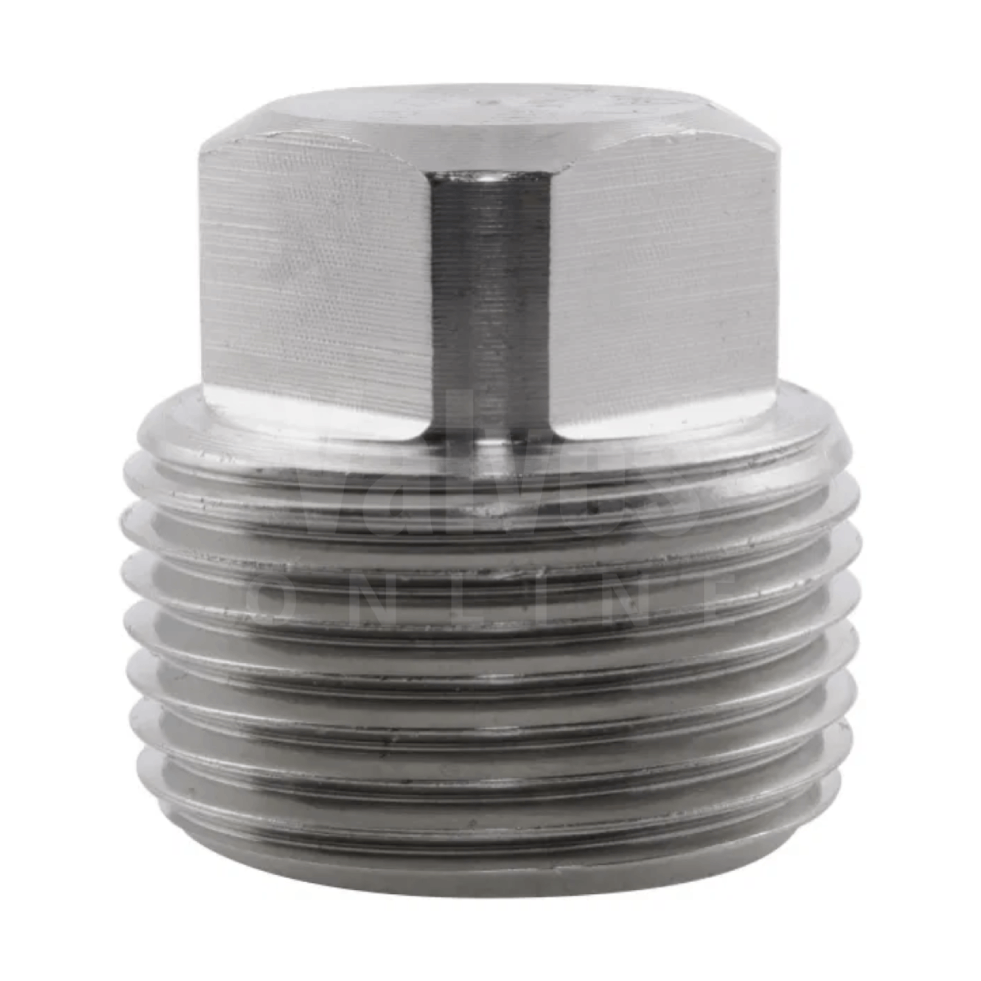 BSPT Square Head Plug 6000LB 316 Stainless Steel Fitting
