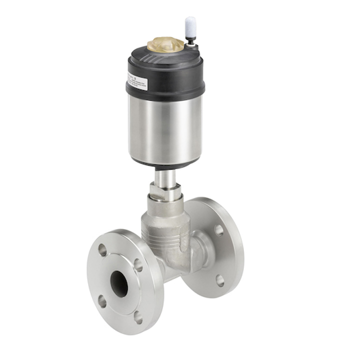 Burkert Type 2101 ELEMENT Globe Valve for Liquids and Gas