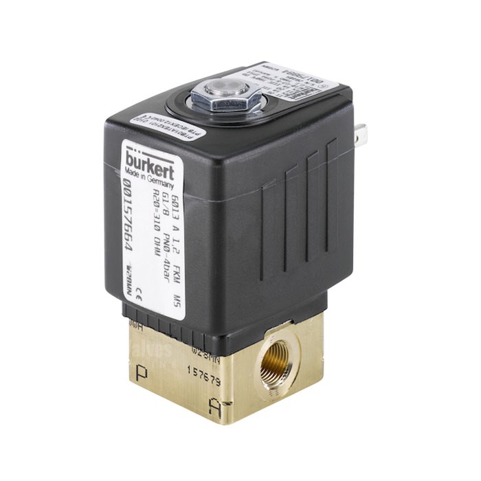 Burkert Type 6013 Brass Solenoid Valve