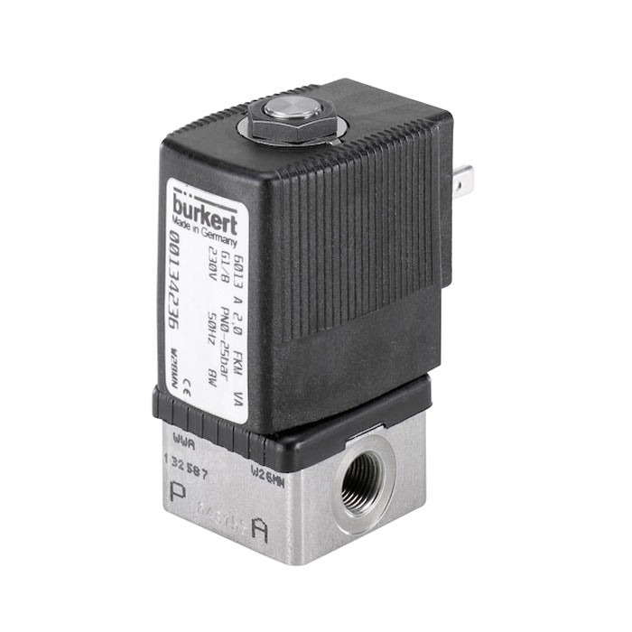 Burkert Type 6013 Stainless Steel Solenoid Valve