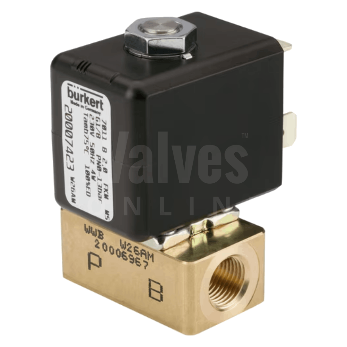 Burkert Type 7011 Brass Solenoid Valve