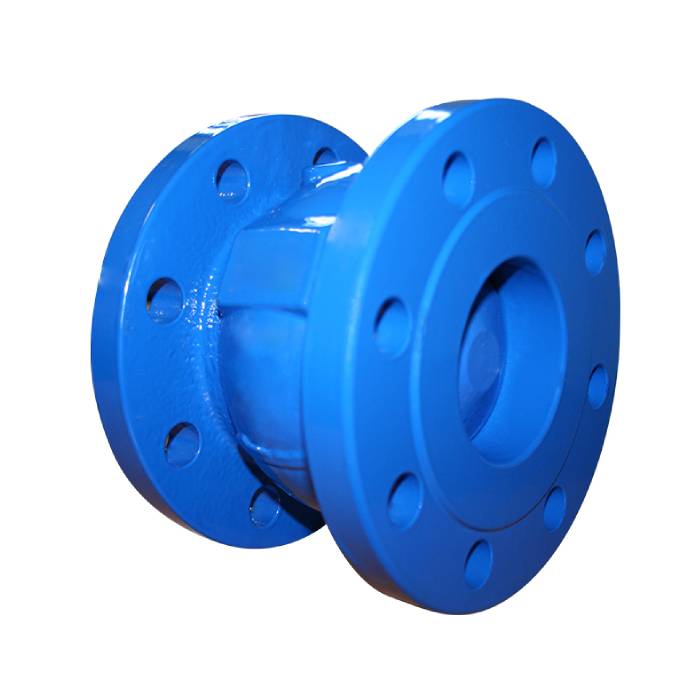 Cast Iron Flanged Axial Disc Check Valve