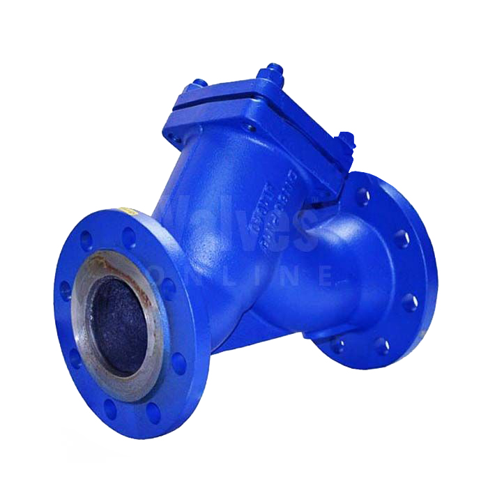 Economy Cast Iron Y Type Strainer Flanged PN16