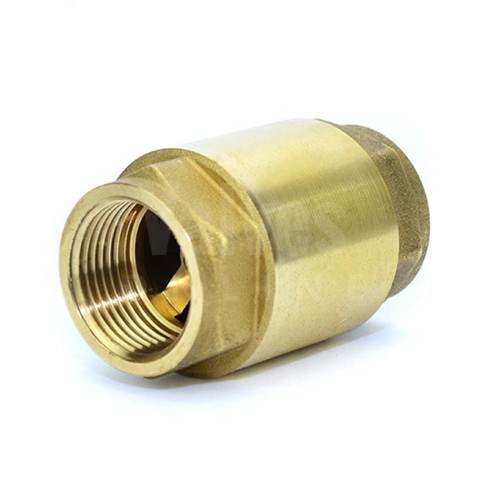 Europa Brass Spring Check Valve Screwed BSP