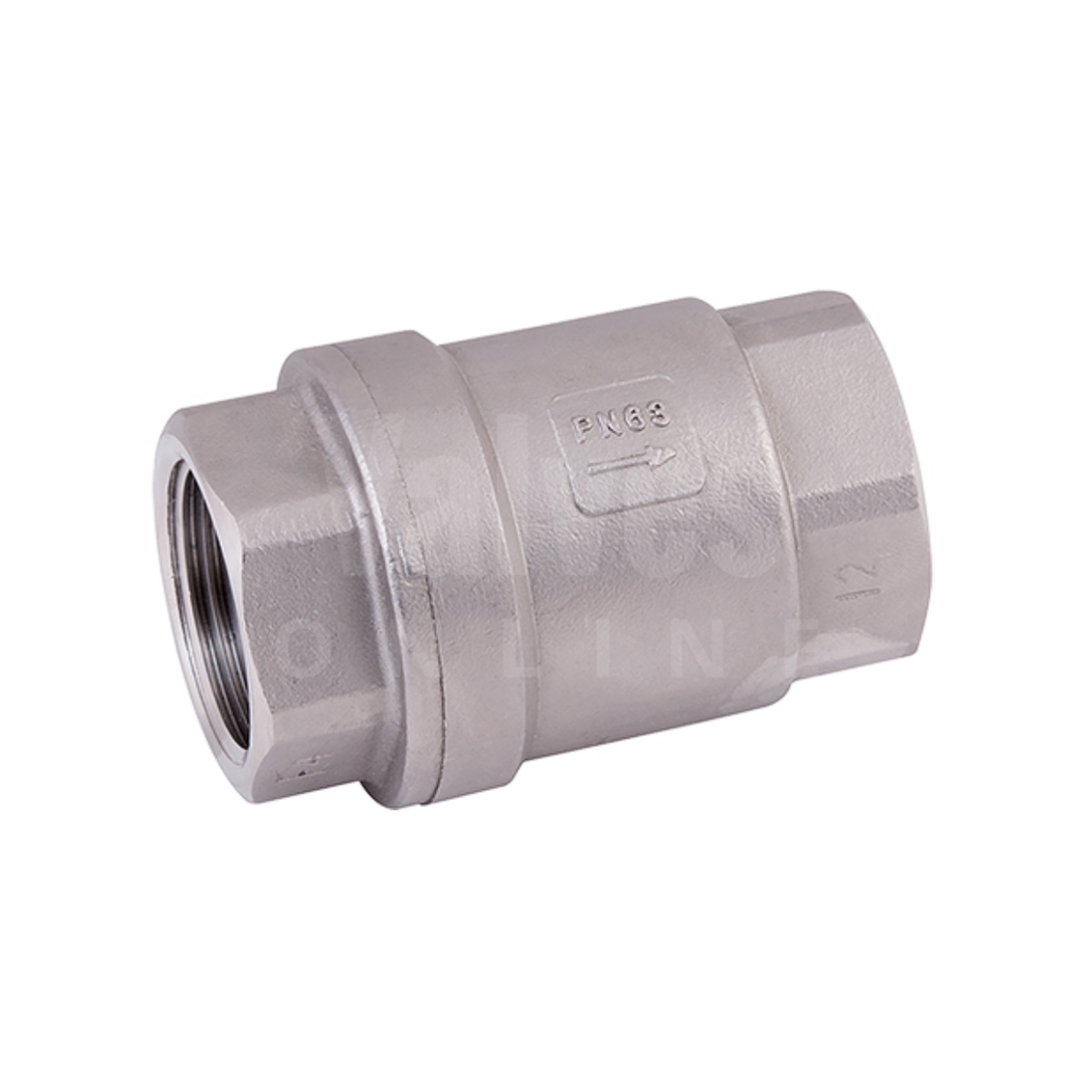 Economy Stainless Steel Spring Check Valve