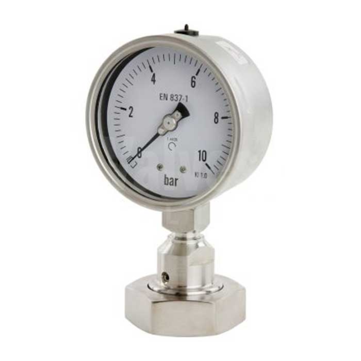 Hygienic Pressure Gauge with Flush Seals