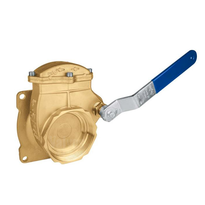 Lever Brass Gate Valve AGRI Flange x BSP