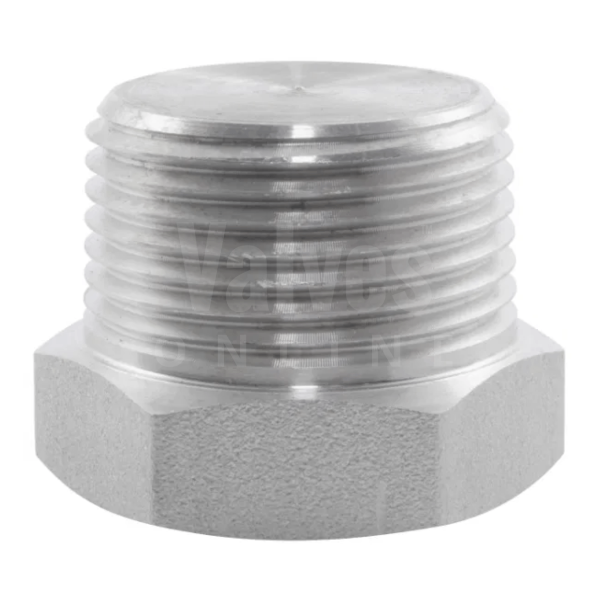NPT Hexagon Head Plug 6000LB 316 Stainless Steel Fitting
