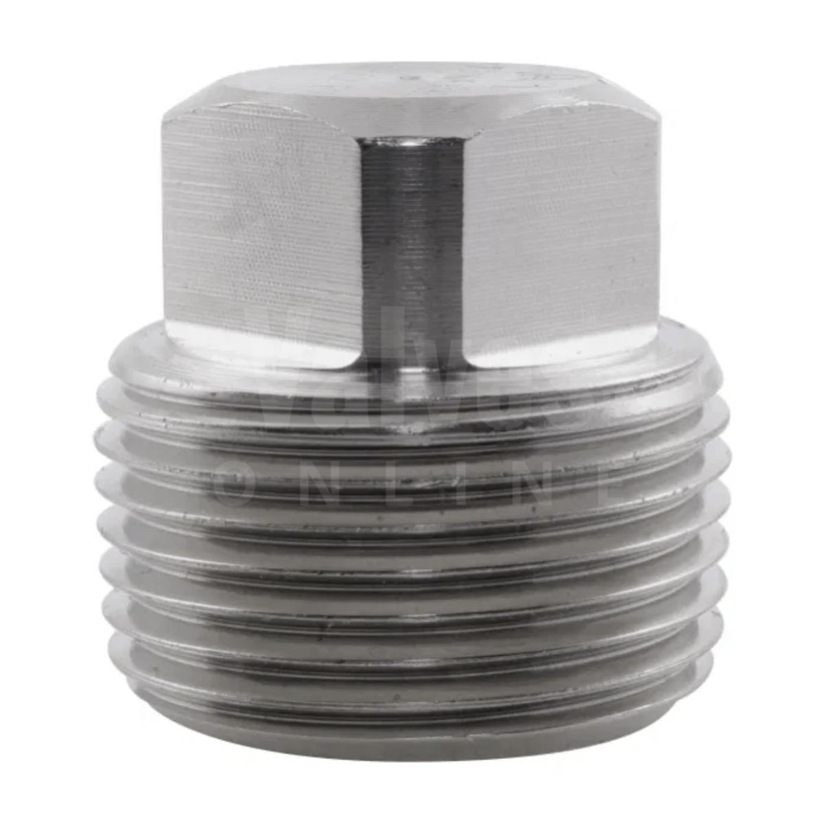 NPT Square Head Plug 6000LB 316 Stainless Steel Fitting