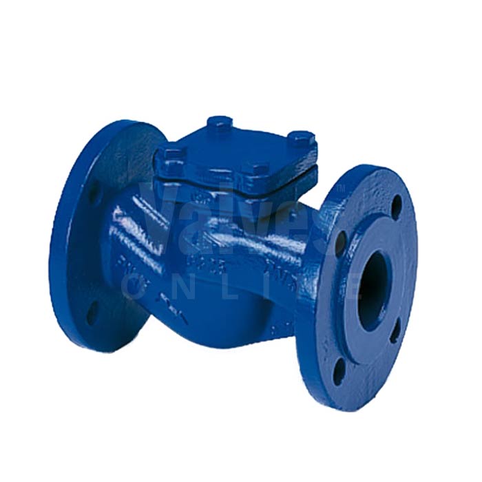 PN16 Cast Iron ARI CHECKO-V Non-return Check Valve