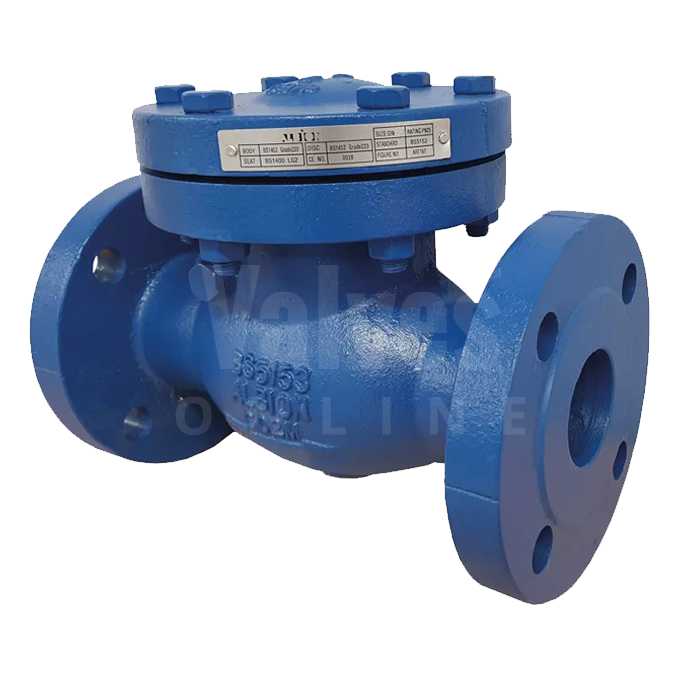 PN25 Cast Iron Flanged Swing Check Valve