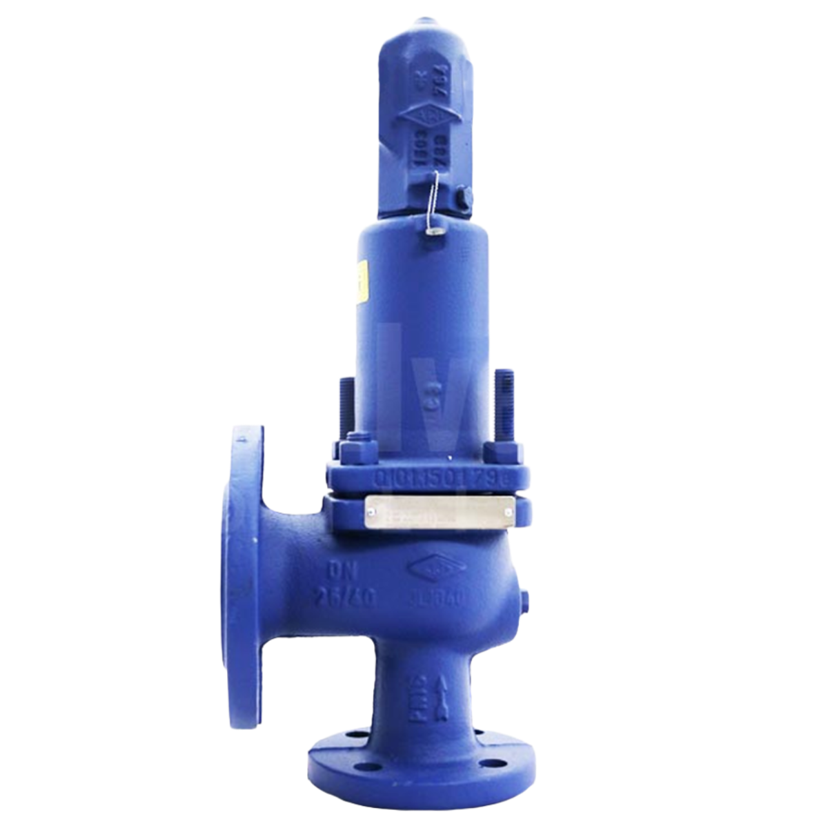 PN40 ARI SAFE Cast Steel Safety Relief Valve with Gastight Cap