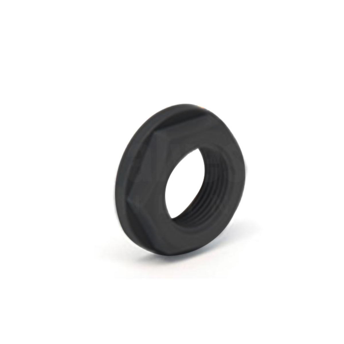 PVC Backnut BSP