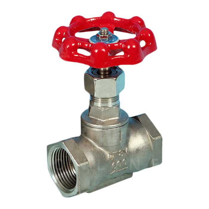 Stainless Steel Globe Valve Screwed BSPP