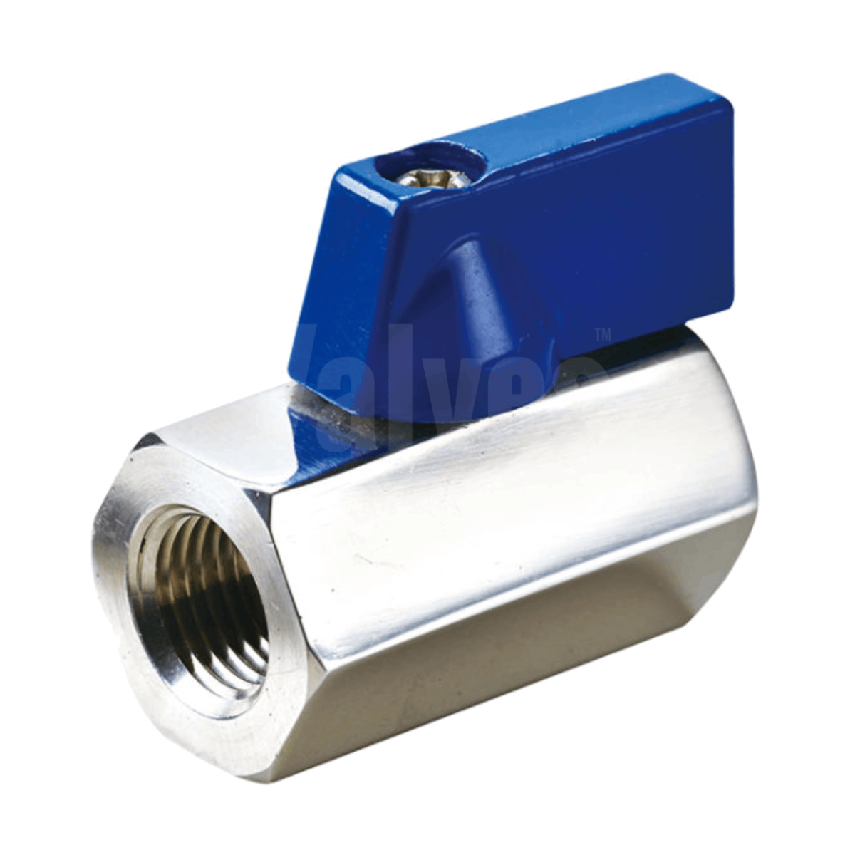 Stainless Steel Mini Ball Valve - Female x Female
