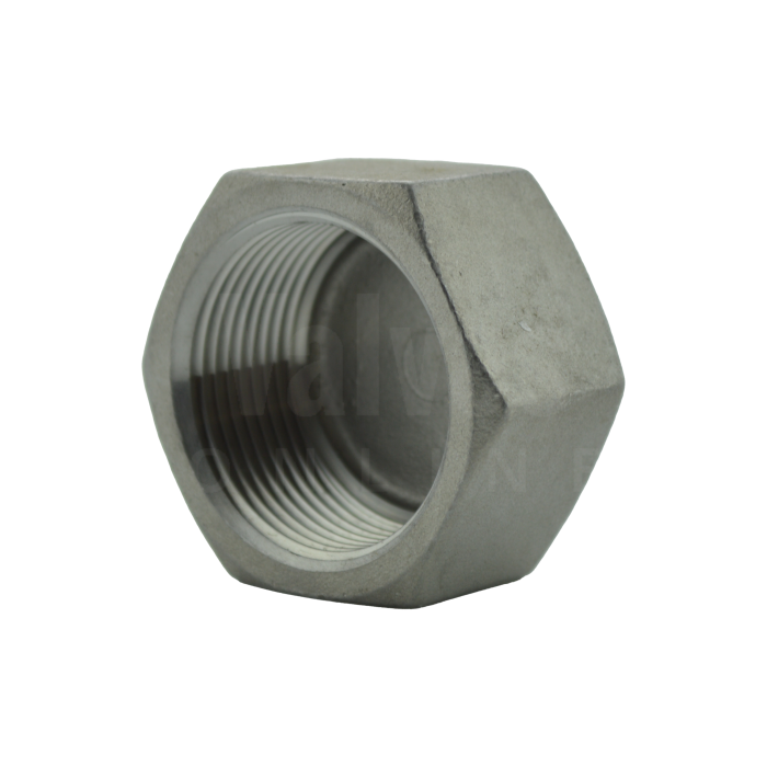 NPT Stainless Steel Hexagon Cap - Class 150