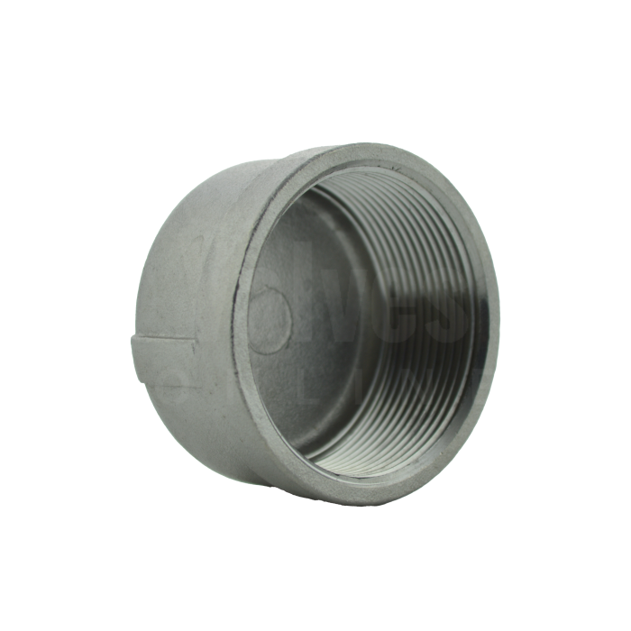 NPT Stainless Steel Round End Cap - Class 150