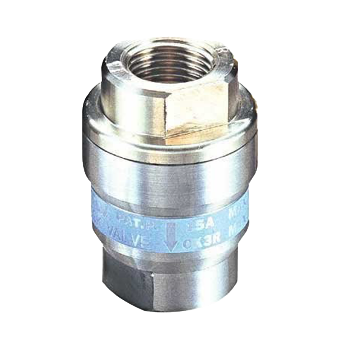 TLV CK3M Brass Check Valve Screwed