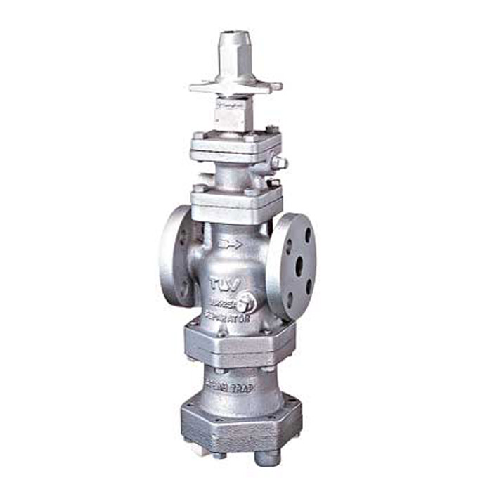 TLV COSPECT Ductile Iron Flanged PN25/40 PRV with built in Separator, Strainer and Trap