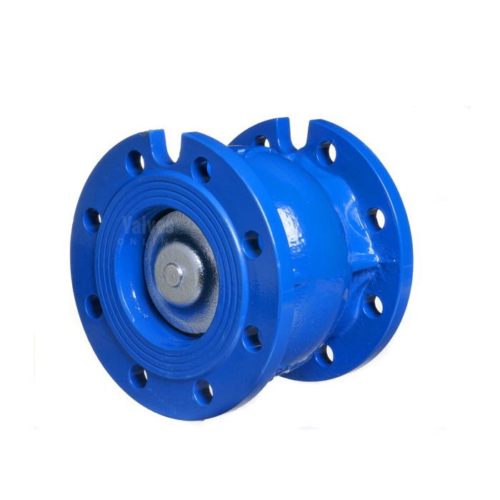 Cast Iron Flanged Disc Check Valve
