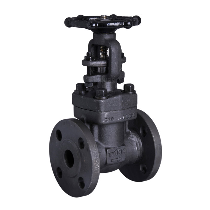 Forged Steel Flanged Gate Valve